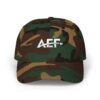 AEF Embroidered Cap - Celebrate Public Ed in Style! - Image 5